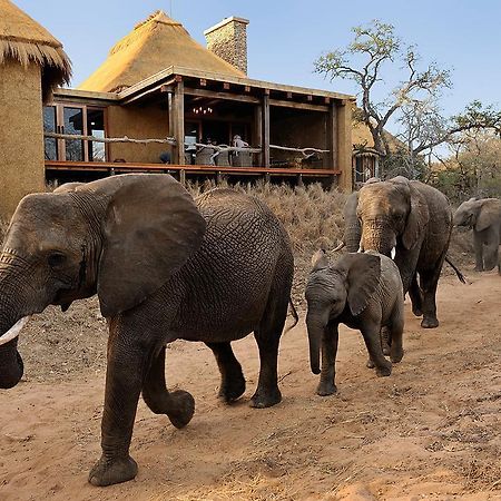فيلا كامب جابولاني لودج Kapama Game Reserve المظهر الخارجي الصورة