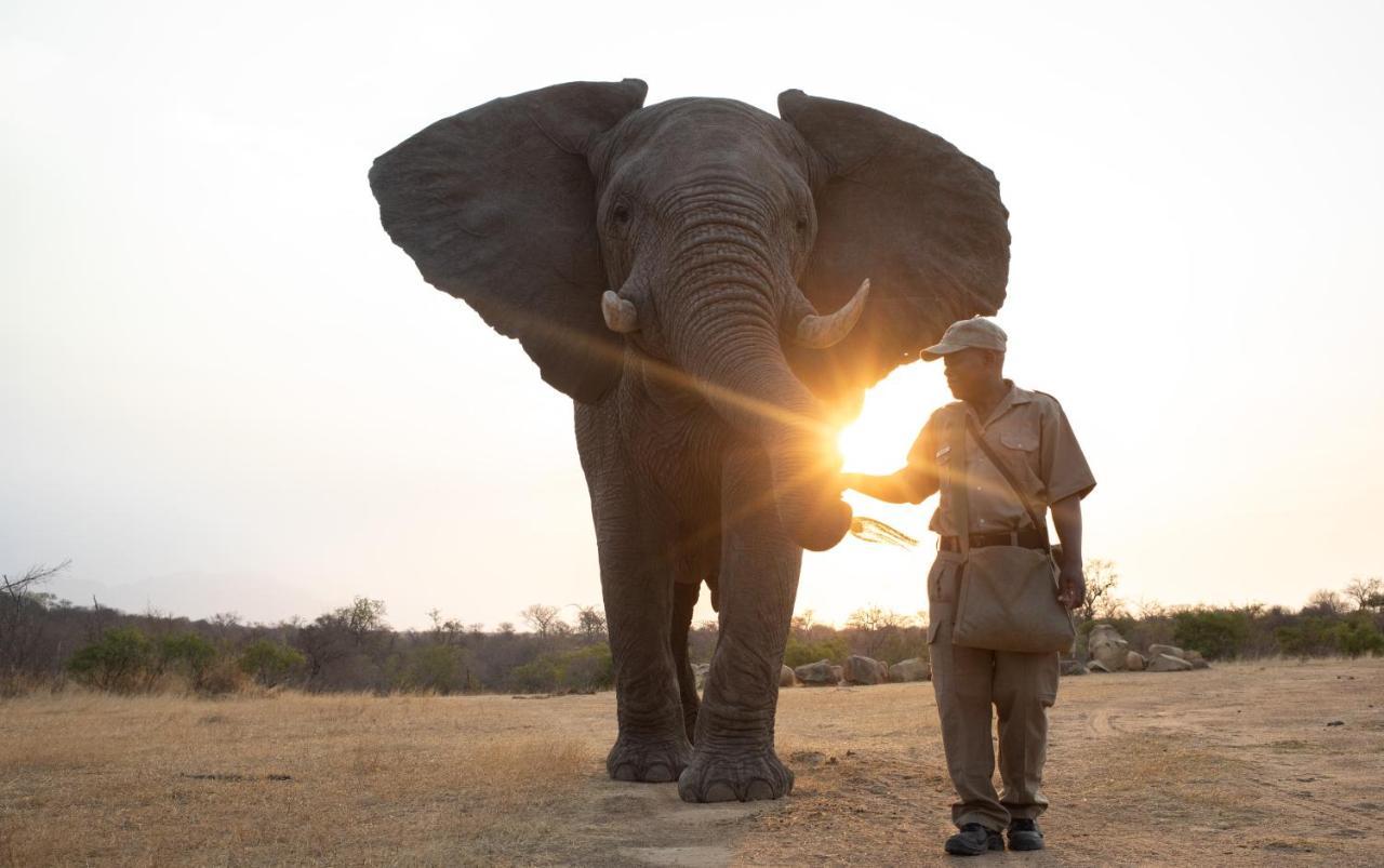 فيلا كامب جابولاني لودج Kapama Game Reserve المظهر الخارجي الصورة