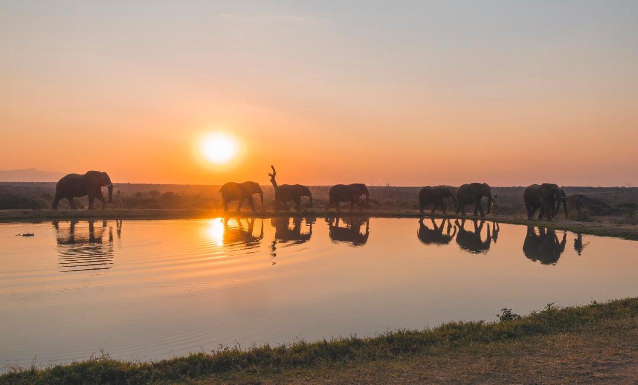 فيلا كامب جابولاني لودج Kapama Game Reserve المظهر الخارجي الصورة