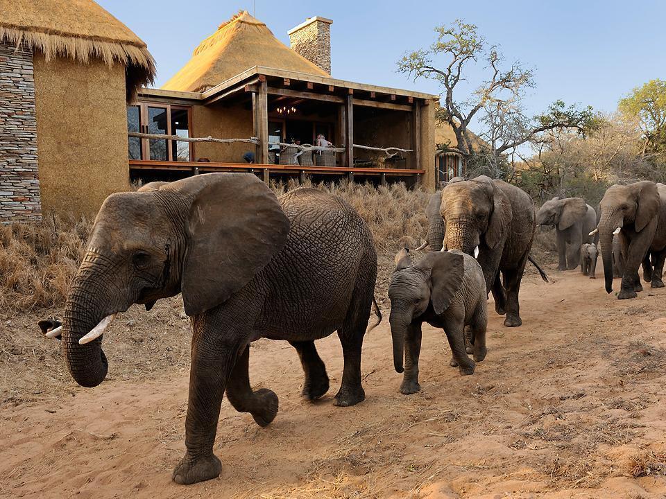 فيلا كامب جابولاني لودج Kapama Game Reserve المظهر الخارجي الصورة