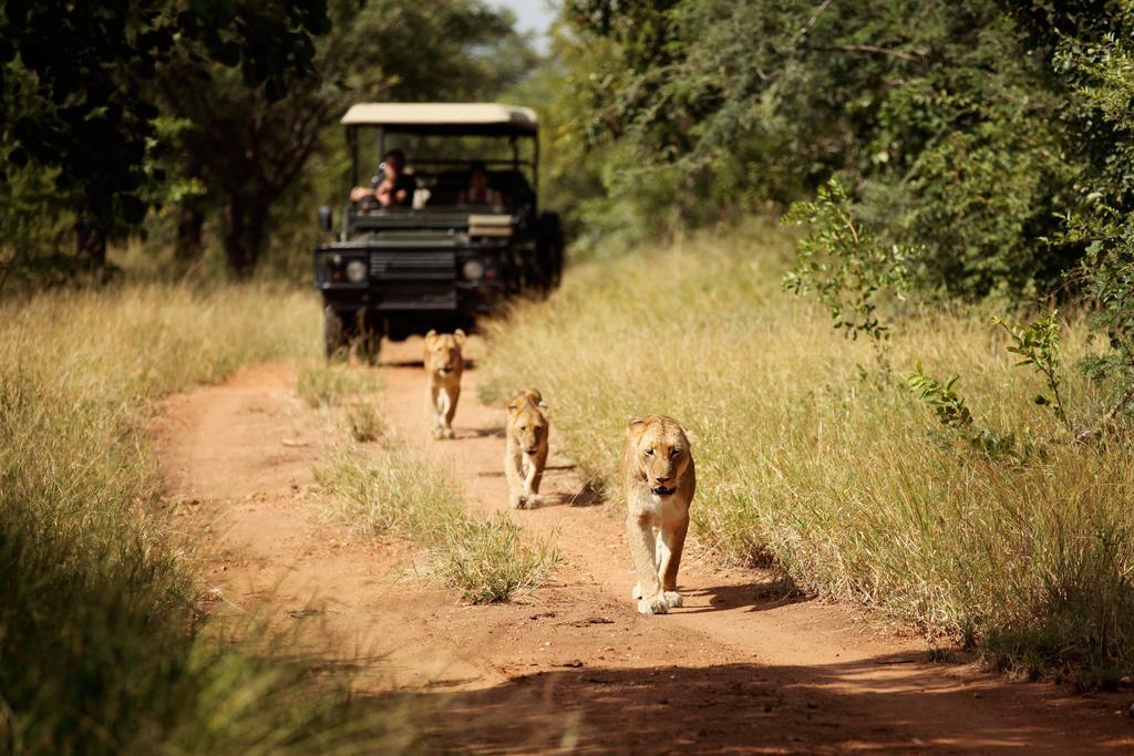 فيلا كامب جابولاني لودج Kapama Game Reserve المظهر الخارجي الصورة