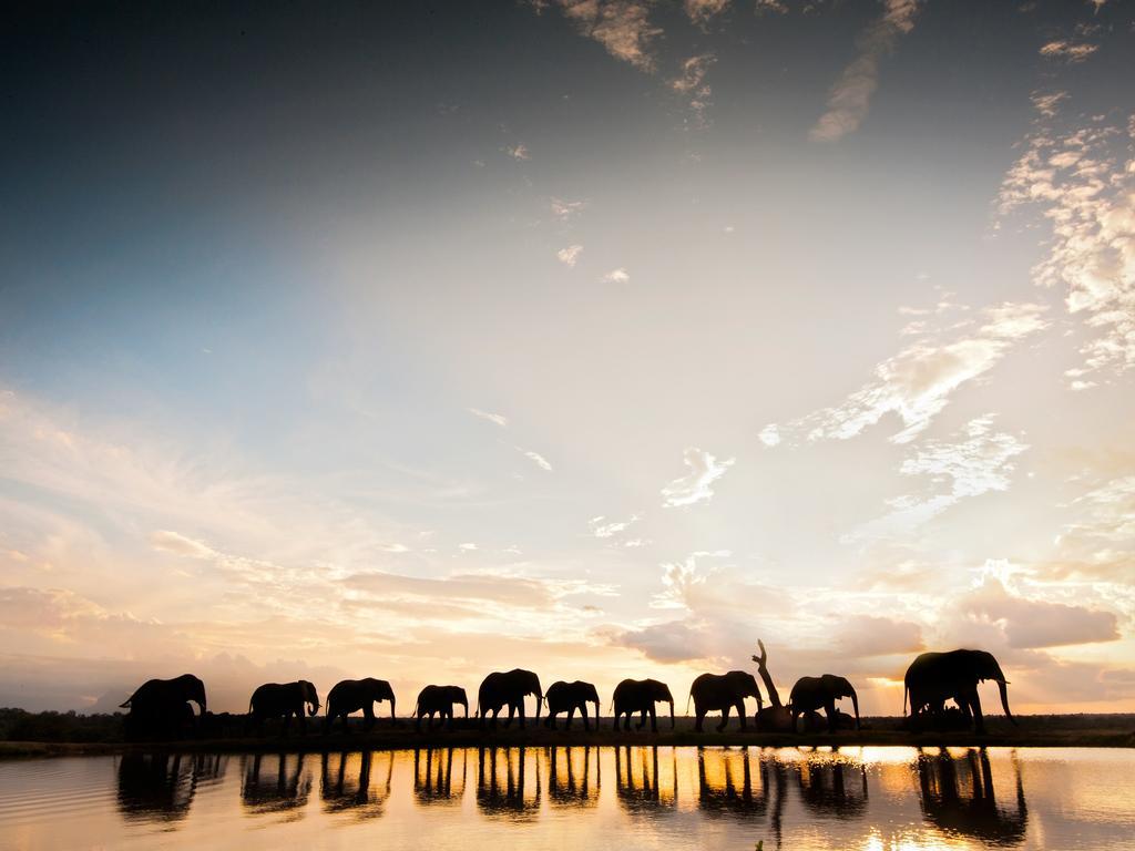 فيلا كامب جابولاني لودج Kapama Game Reserve المظهر الخارجي الصورة