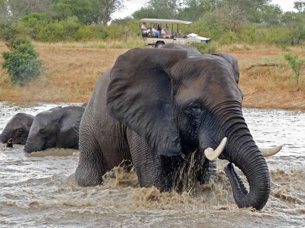فيلا كامب جابولاني لودج Kapama Game Reserve المظهر الخارجي الصورة