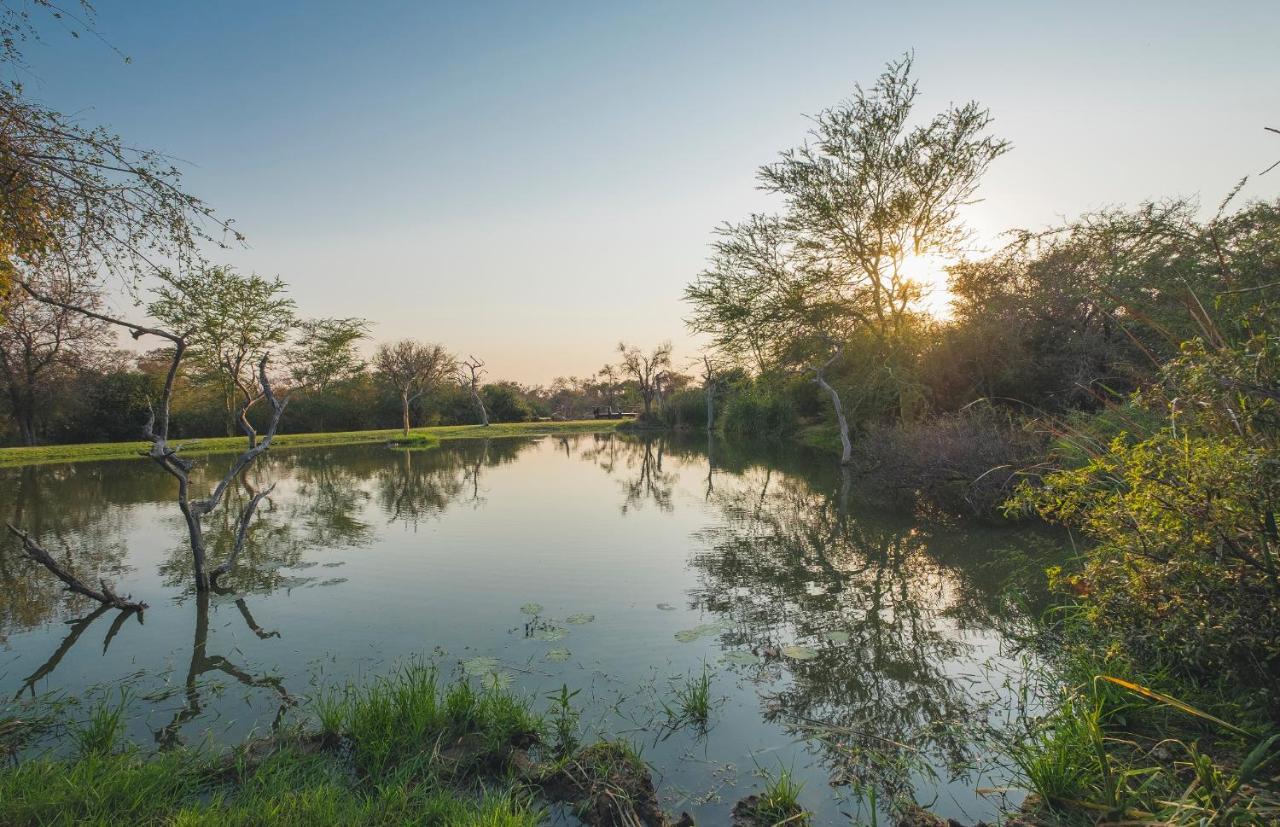 فيلا كامب جابولاني لودج Kapama Game Reserve المظهر الخارجي الصورة